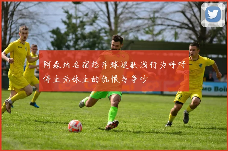 阿森纳名宿怒斥球迷肤浅行为呼吁停止无休止的仇恨与争吵