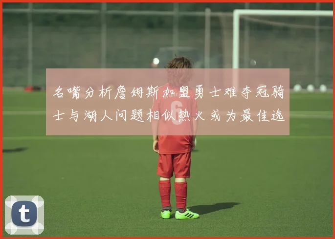 名嘴分析詹姆斯加盟勇士难夺冠骑士与湖人问题相似热火或为最佳选择